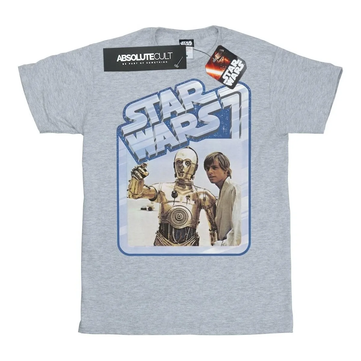 LUKE SKYWALKER AND C3PO