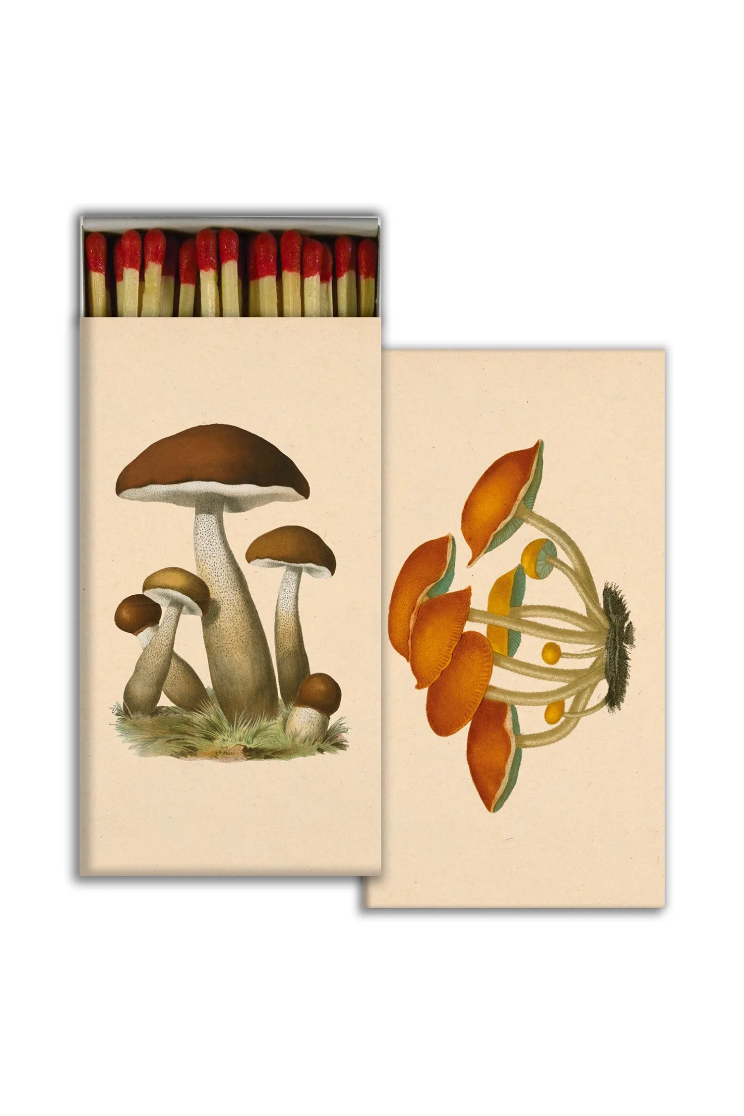 MATCHES  MUSHROOMS