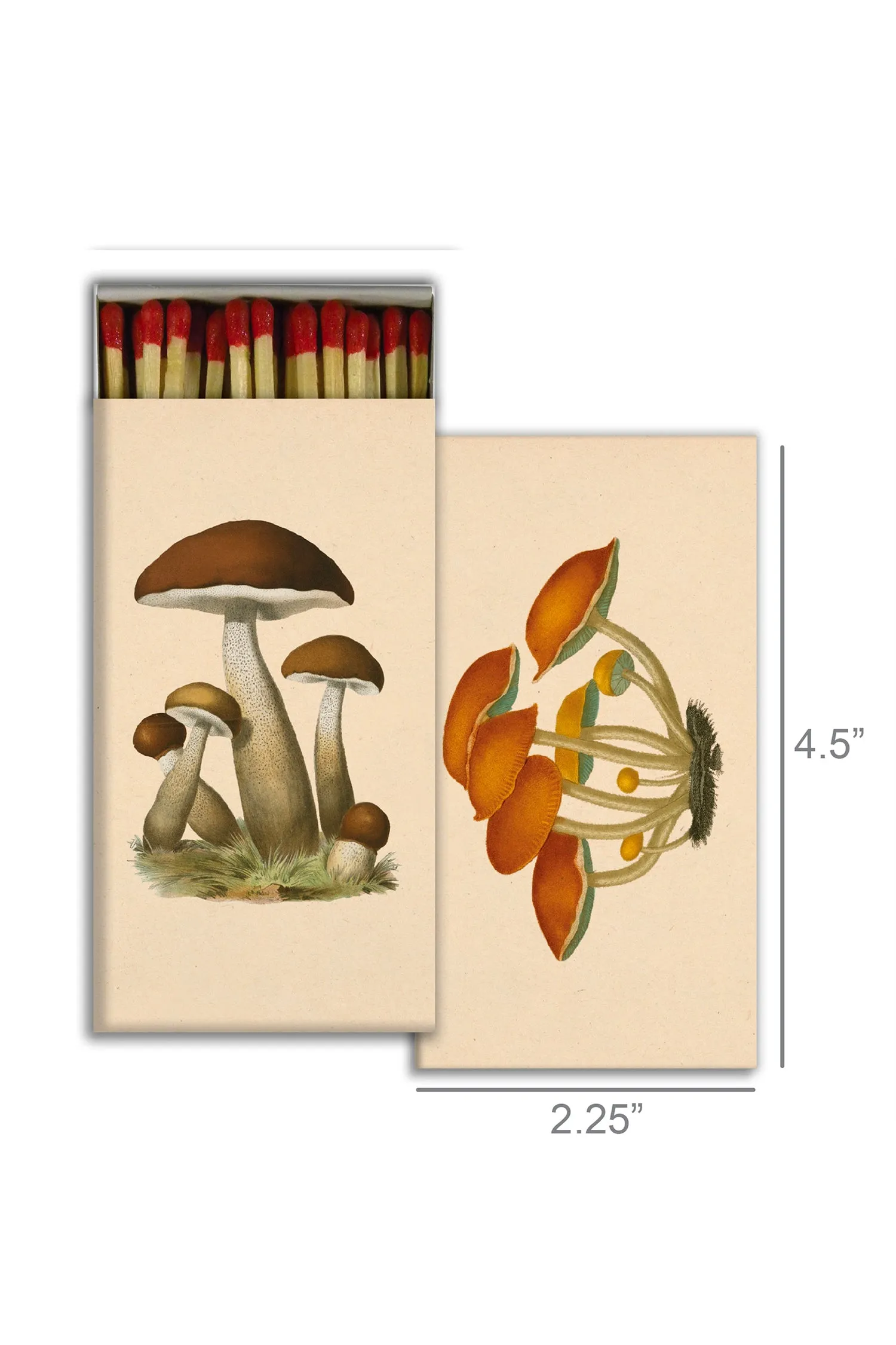 MATCHES  MUSHROOMS