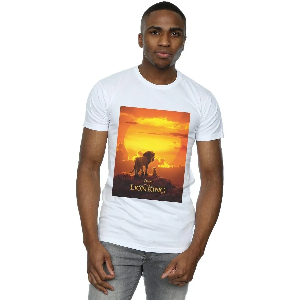 The Lion King Movie Sunset Poster